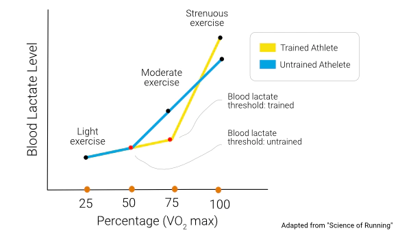 What Tempo Runs and Threshold Running Are All About