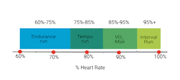 What Tempo Runs and Threshold Running Are All About