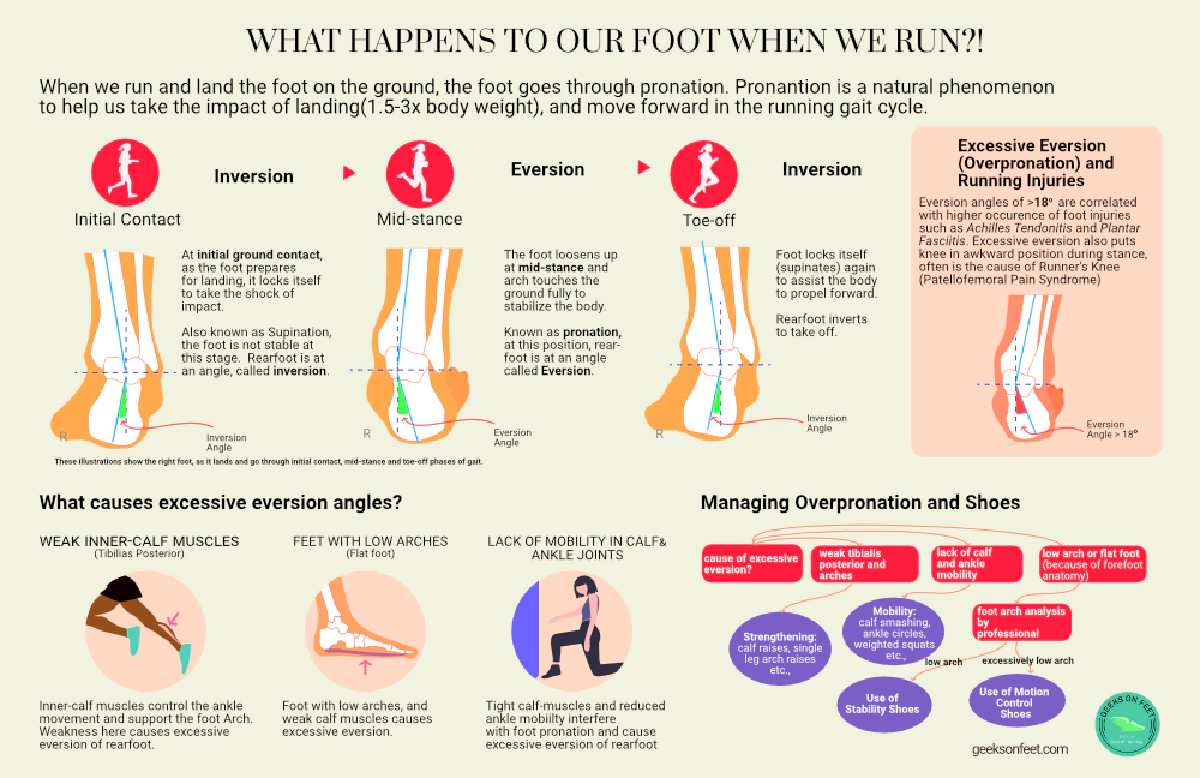 What happens to our feet when we run?!