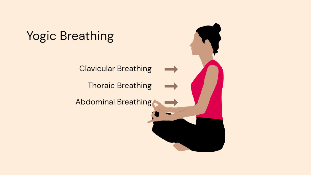 Breathing exercises to strengthen lungs during the Coronavirus Pandemic -  Yoganama